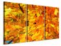 Preview: Leinwandbild 3-teilig Herbst Blätter