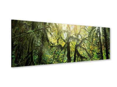 Acrylglasbild Panorama Verträumter Wald 120 x 40 cm