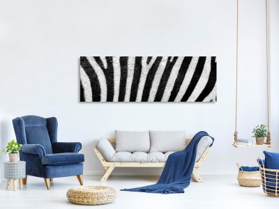 Leinwandbild Panorama Streifen vom Zebra