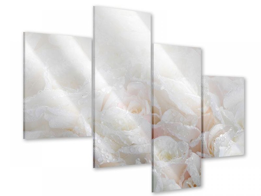 Acrylglasbilder Wandbild aus Plexiglas® Bild Weiße Rosen 