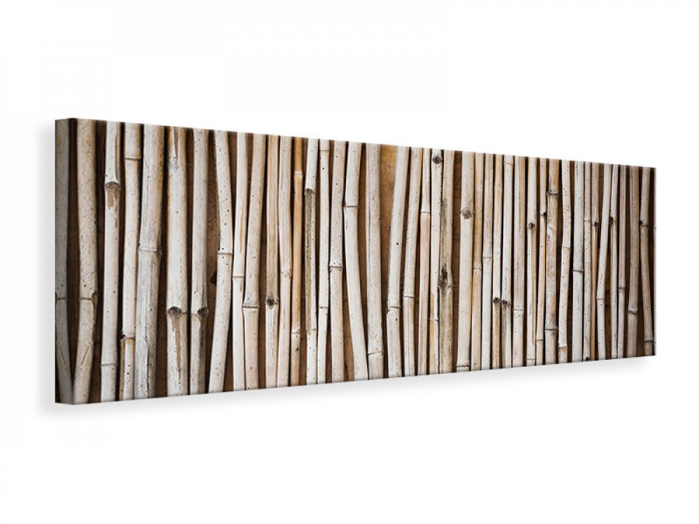 Leinwandbild Panorama Getrocknete Bambusrohre